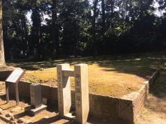 チョウクライロ舞