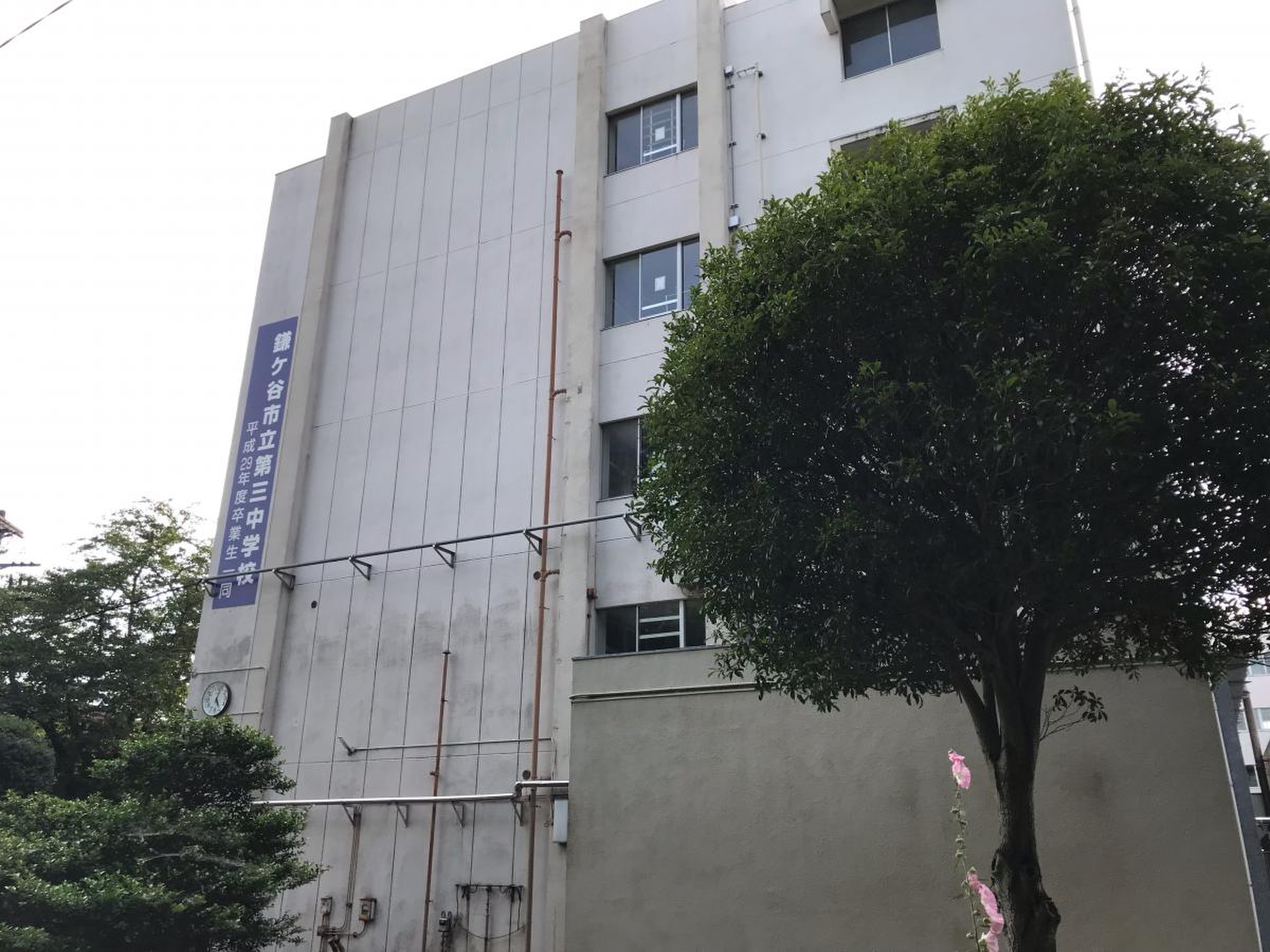鎌ケ谷 市立 第 三 中学校
