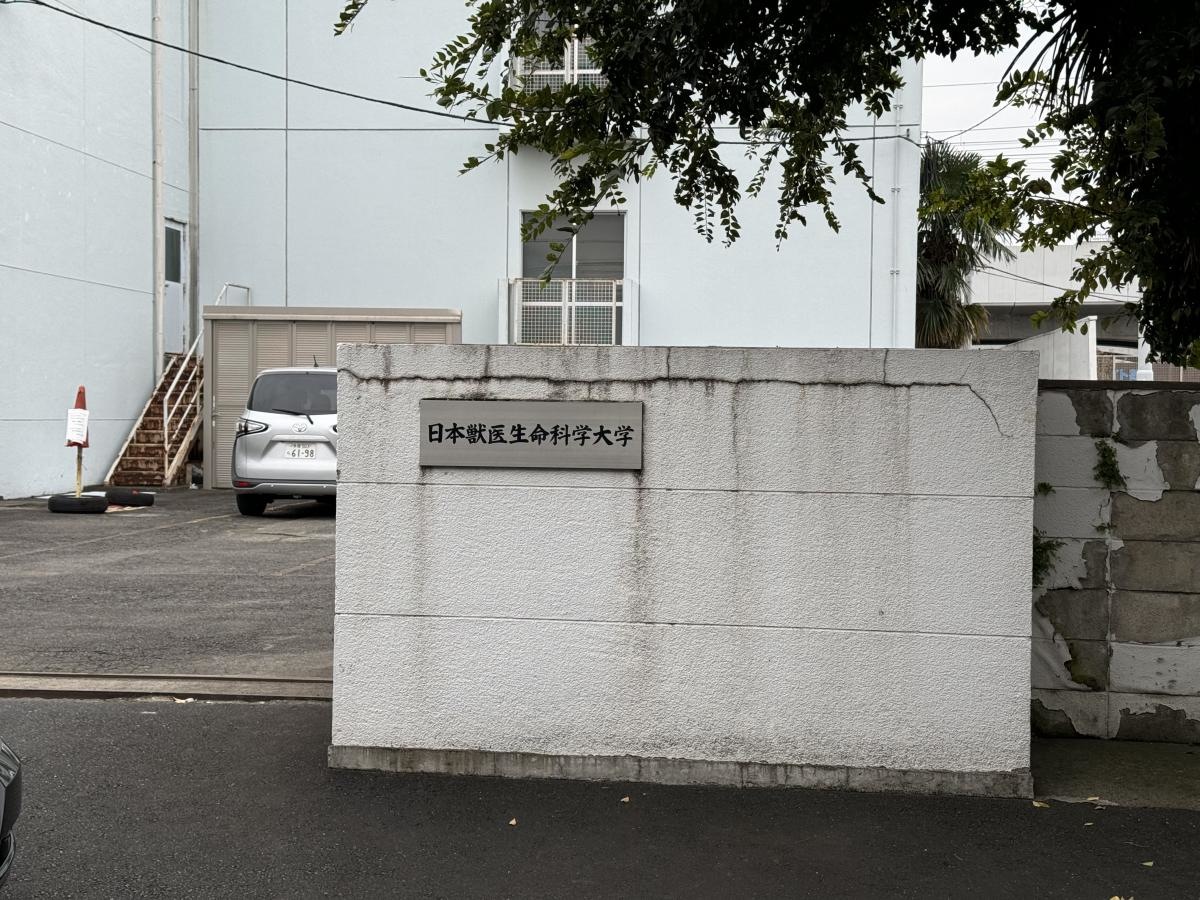 日本獣医生命科学大学