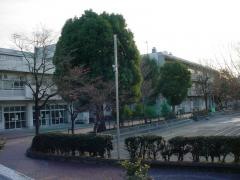 あざみ野第二小学校