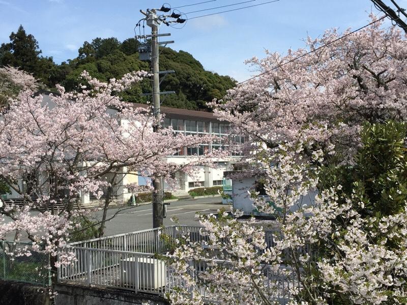 体育館