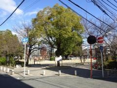桃谷公園
