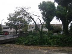 大津南小学校