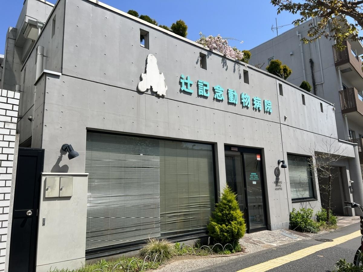 辻記念動物病院