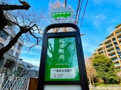 「東京女学館前」バス停留所