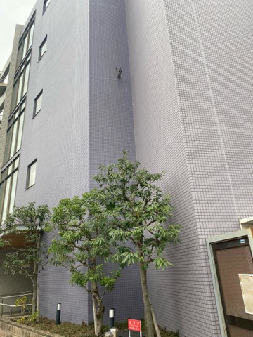 のだふじ 施設外観
