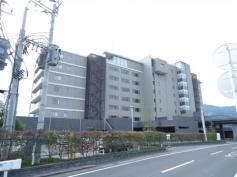 サザンブルー鹿児島