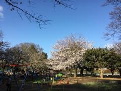 都立和田掘公園