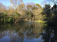 都立和田掘公園