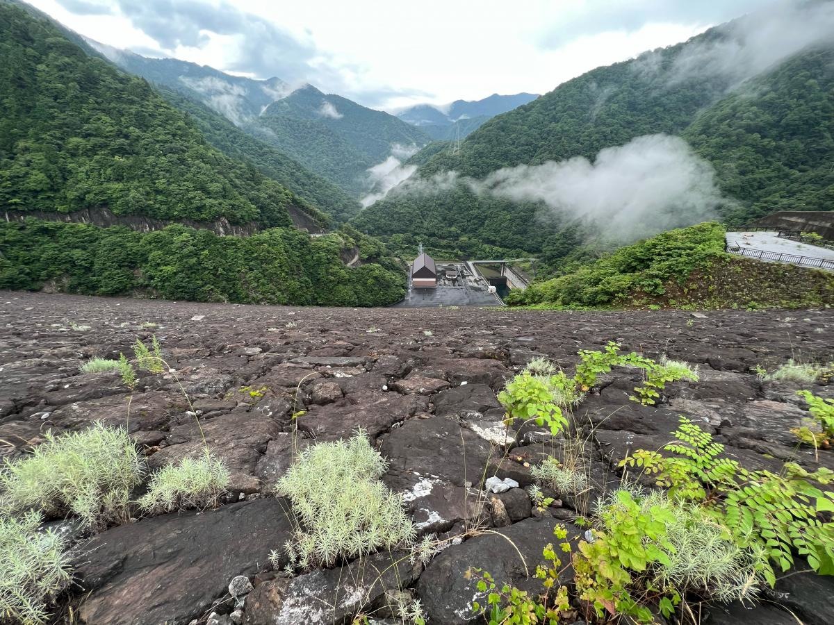徳山ダム