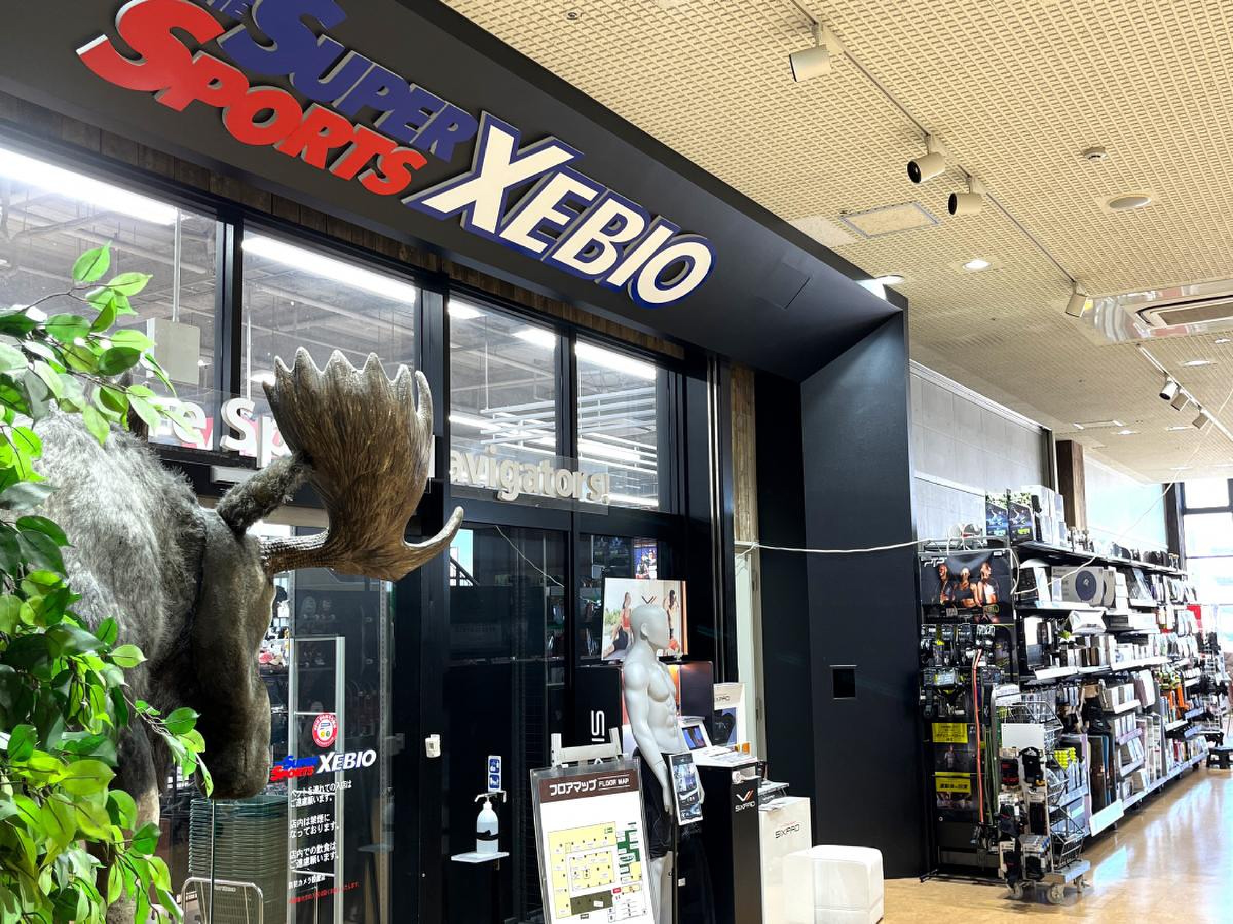 スーパー スポーツ ゼビオ 熊本 本山 店