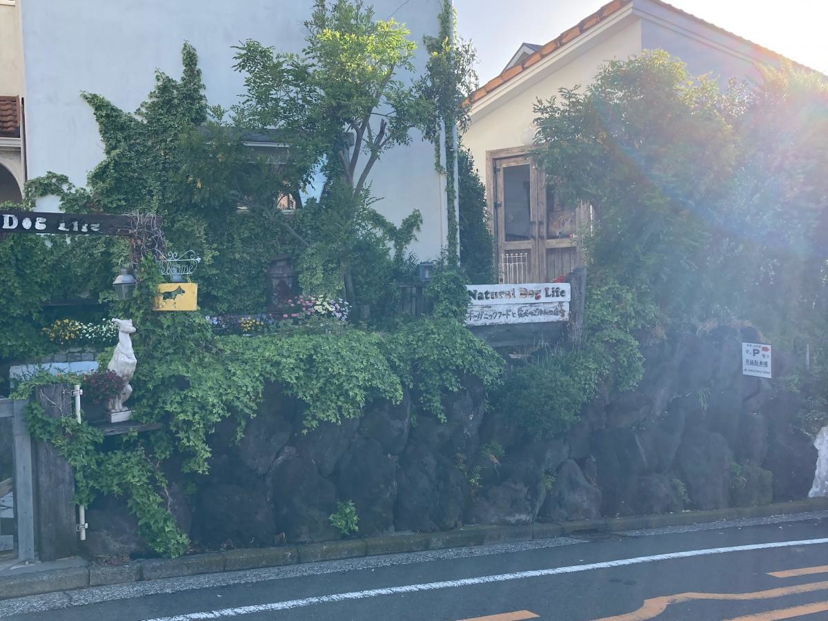 ナチュラルドッグライフ