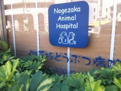 野毛坂どうぶつ病院
