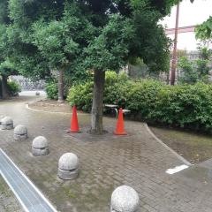 西仲通緑地