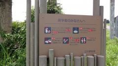 丘の夢牧場