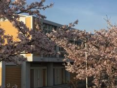 英比小学校