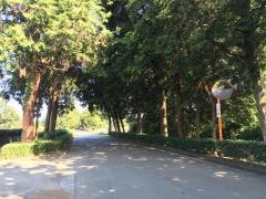 熊本県農業公園カントリーパーク