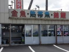 フィッシュまるかね