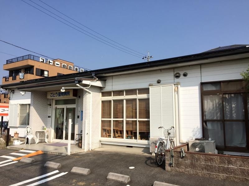 ごとう動物病院