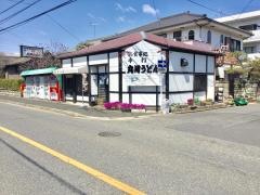 丸岡うどん