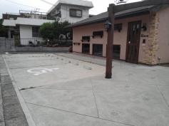 Ｃａｆｅ猫の散歩道
