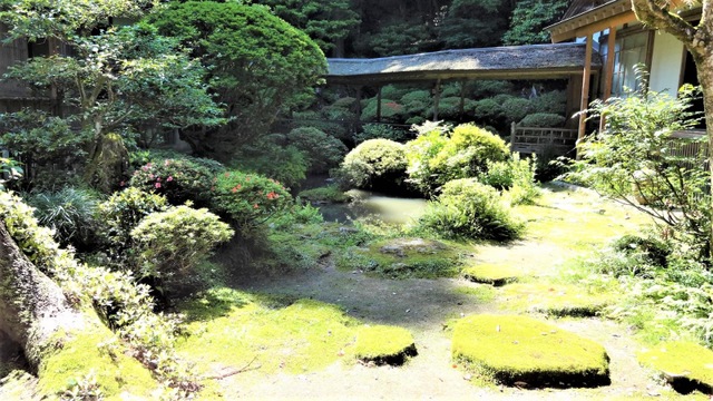 投稿写真6