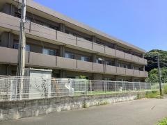 岬