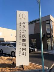うえだ皮膚科内科　八田院