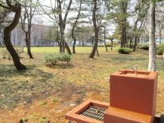 西桔梗中央緑地