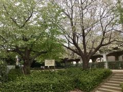 萱田第3緑地