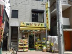 薬ヒグチ下丸子店