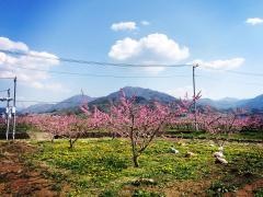 光果園