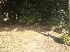春日の森緑地公園