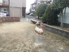 堺市第56－02号公共緑地