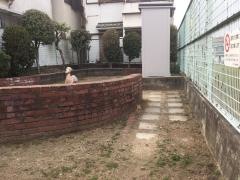 堺市第56－02号公共緑地