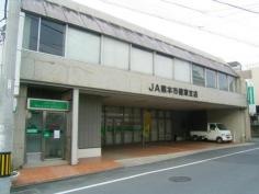 ＪＡ熊本市健軍支店