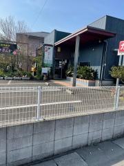 さざんか
