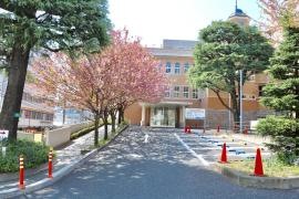聖母病院
