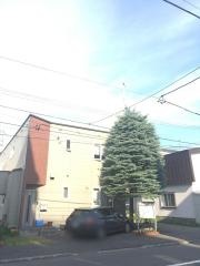 札幌元町教会