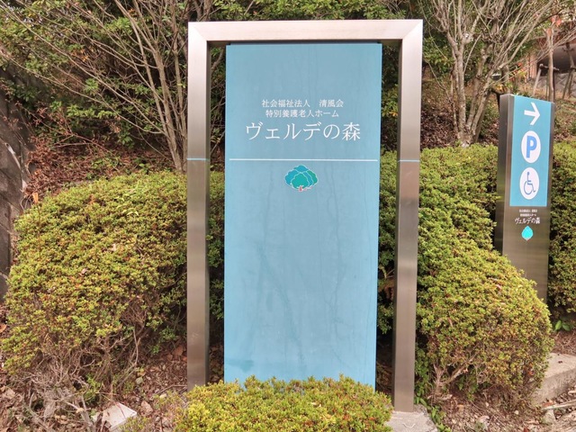 ヴェルデの森