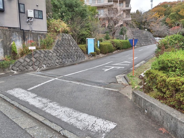 ヴェルデの森