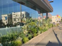 トヨタモビリティ神奈川　横須賀店