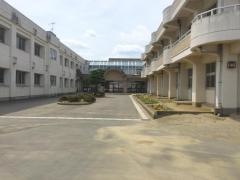 若柳小学校