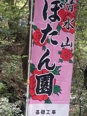 清水山ぼたん園