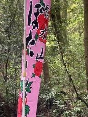 清水山ぼたん園
