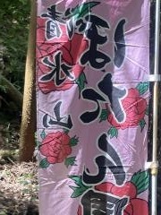 清水山ぼたん園