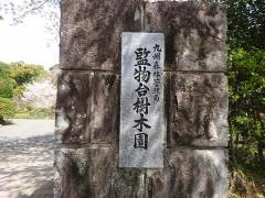監物台樹木園森林博物館