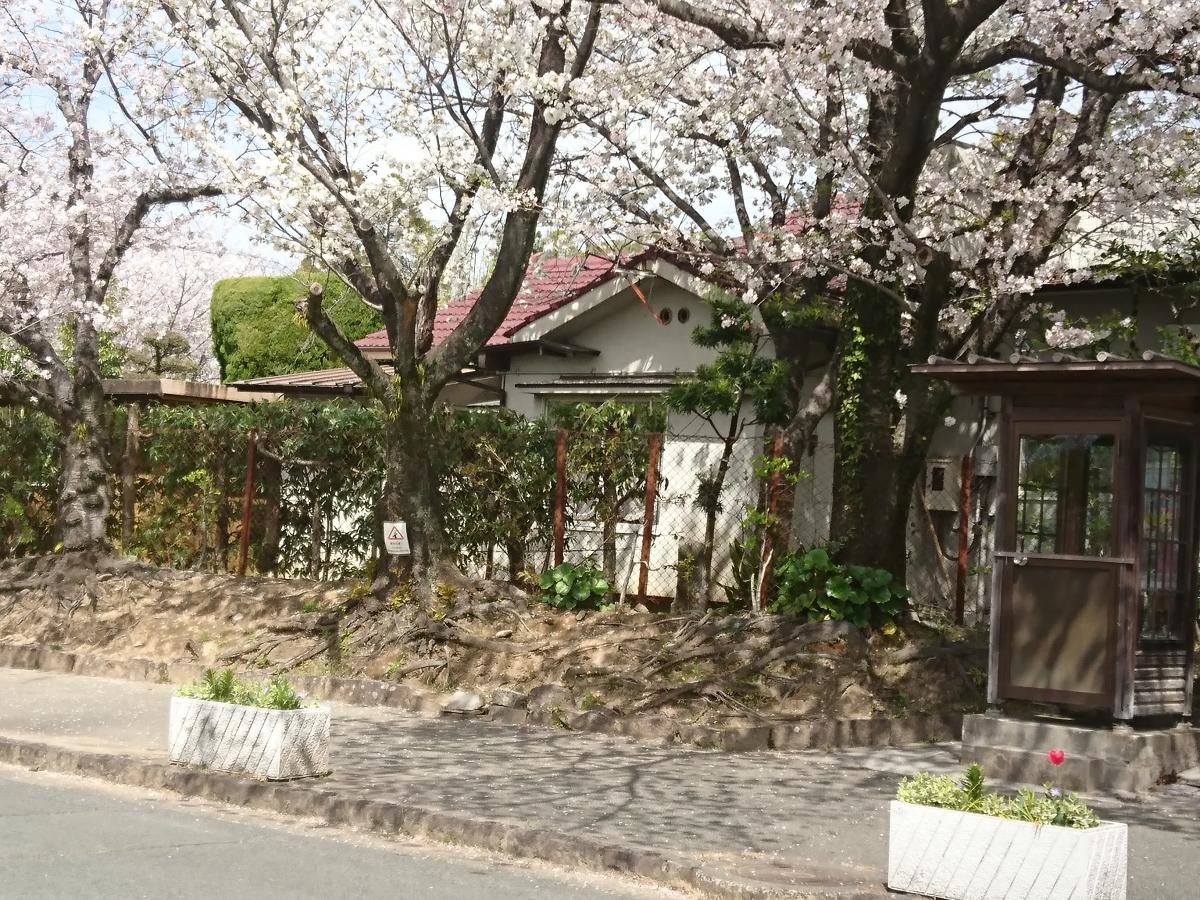 監物台樹木園森林博物館
