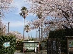 監物台樹木園森林博物館