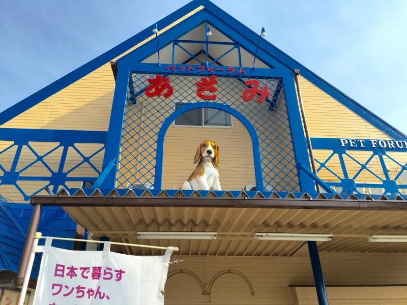 あざみ熱帯魚館